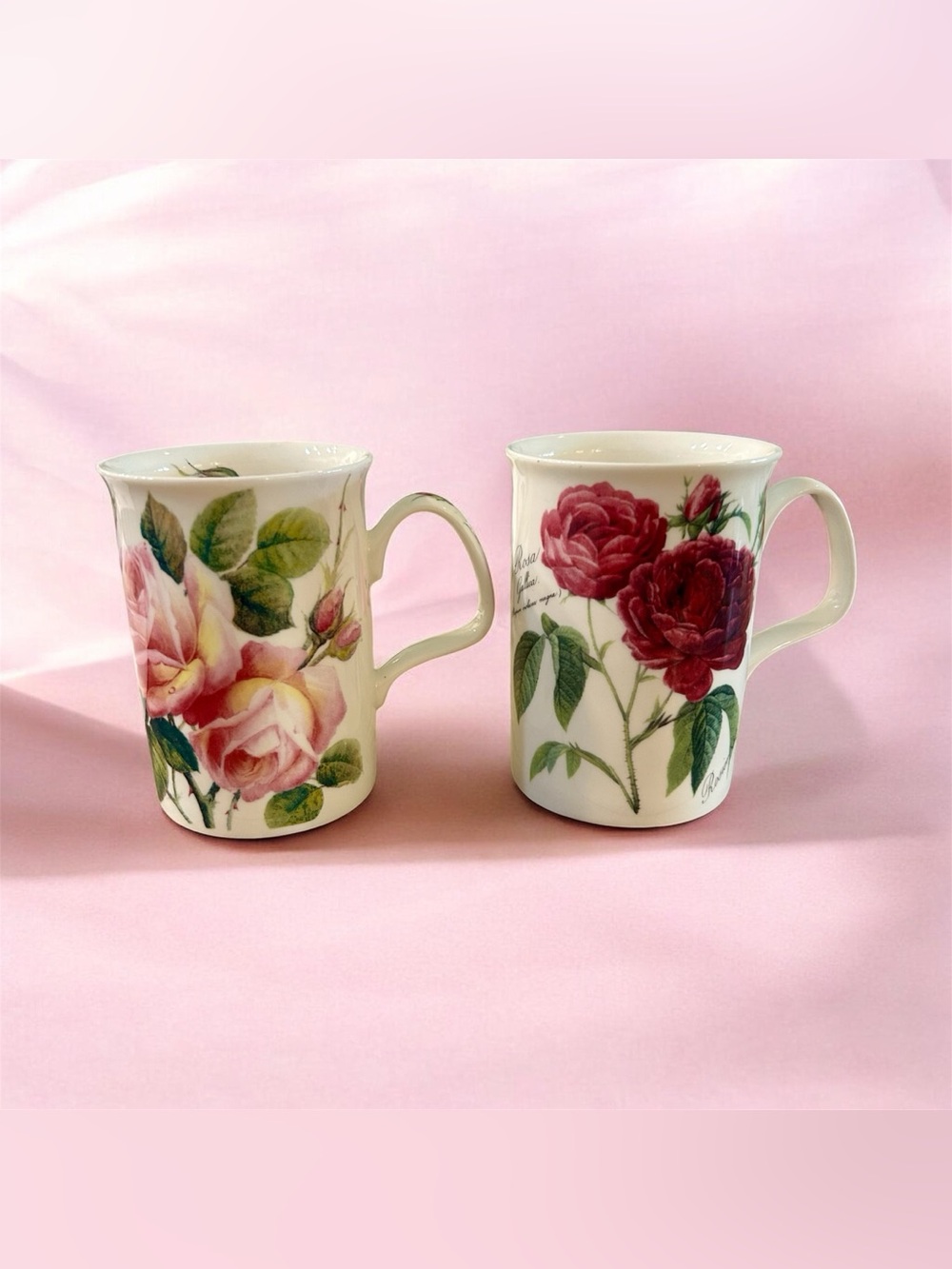 Roy Kirkham Fine Bone China Set of 2 Mugs/Tea Cups